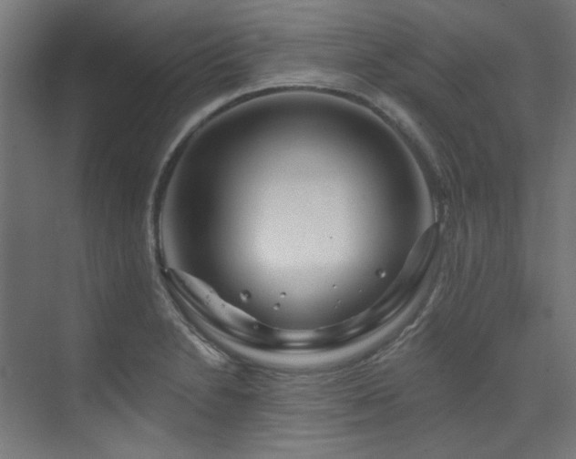 X0000074221230200608251120