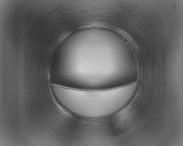 X0000074221241200608251120