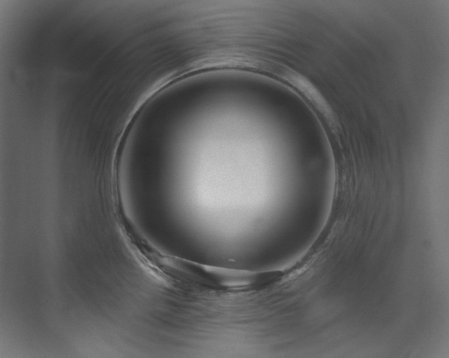 X0000074221242200608251120