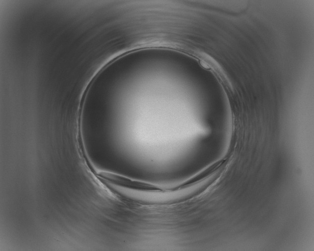 X0000074221244200608251120
