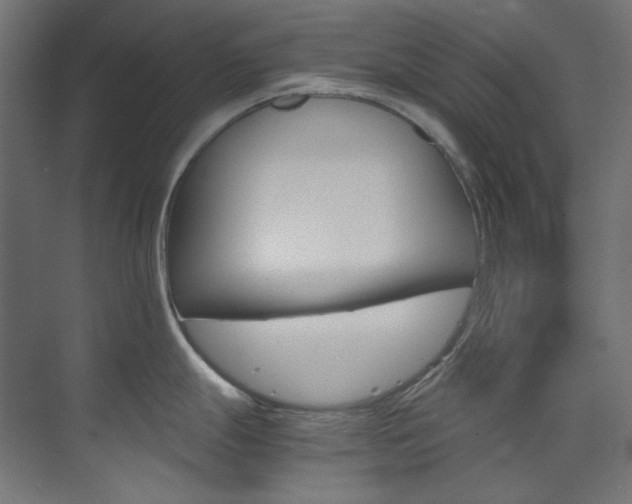 X0000074221247200608251121