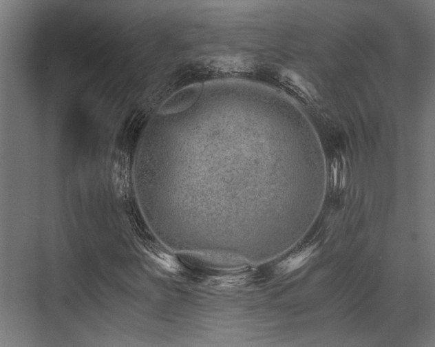 X0000074221251200608251120