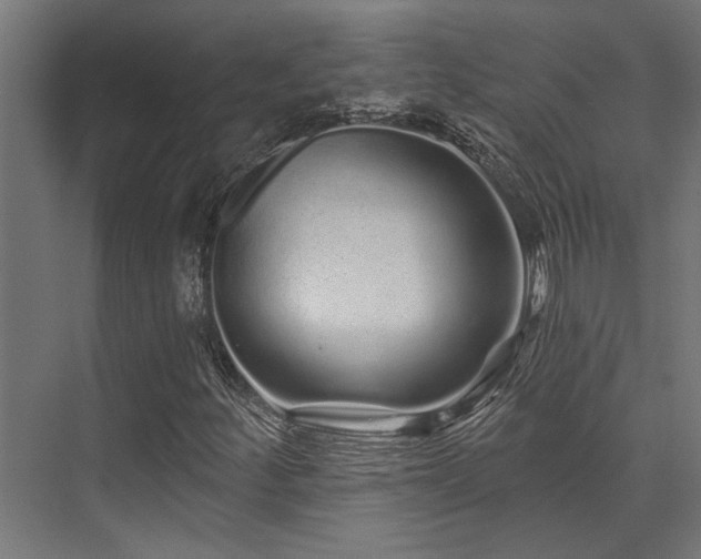 X0000074221252200608251120