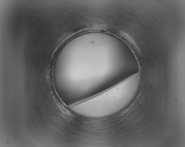 X0000074221260200608251120