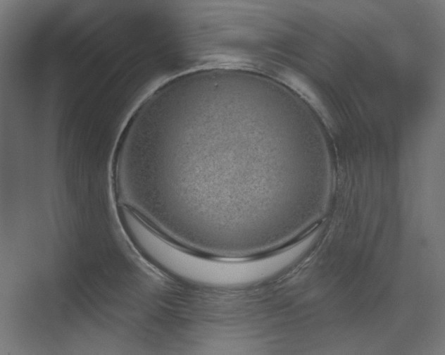 X0000074221283200608251119