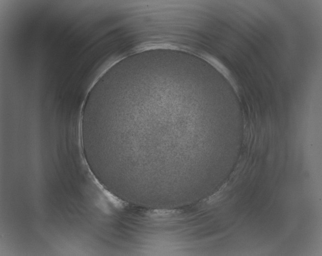 X0000074221290200608251119