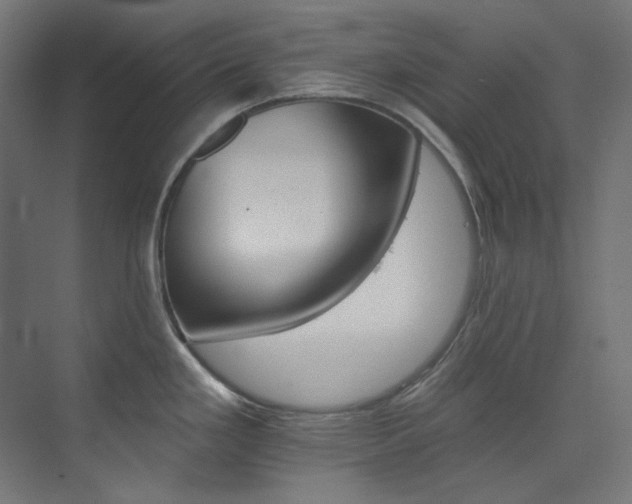 X0000074221293200608251119