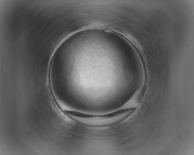 X0000074221296200608251119