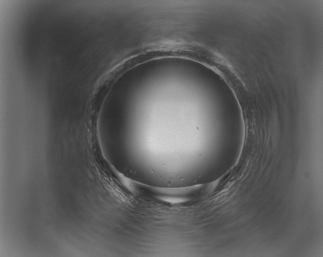 X0000074221304200608251118