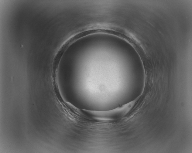 X0000074221312200608251118