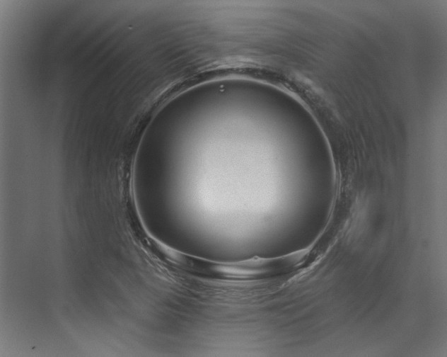 X0000074221313200608251118