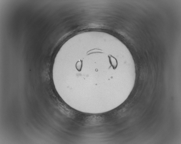 X0000074221314200608251118