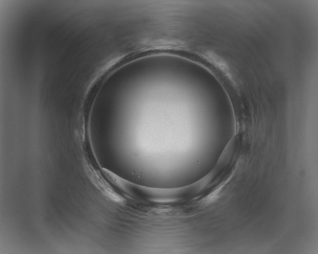 X0000074221317200608251118