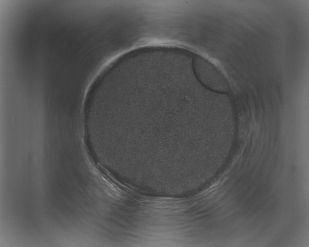 X0000074221319200608251118