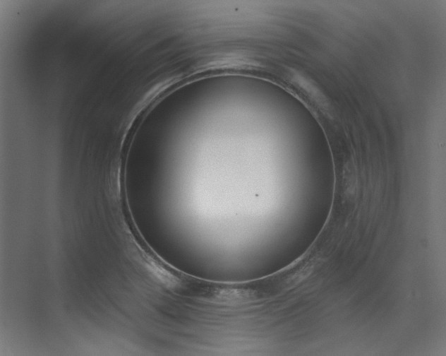 X0000074221322200608251119