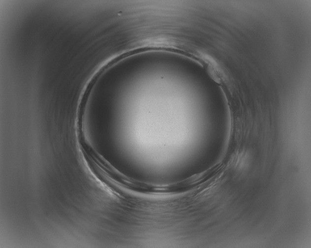 X0000074221331200608251119