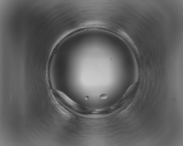 X0000074221336200608251119