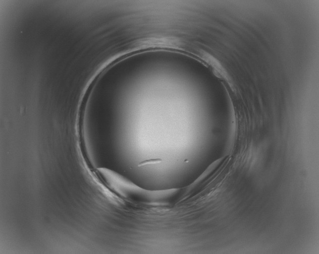 X0000074221339200608251119