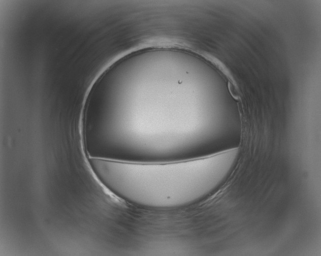 X0000074221343200608251119