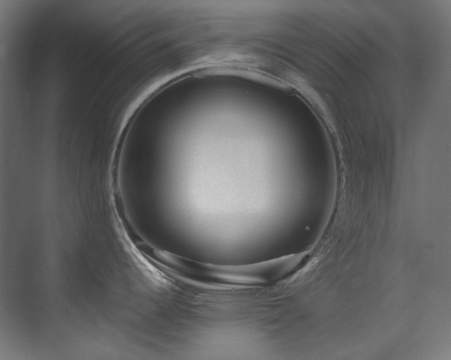 X0000074221344200608251119