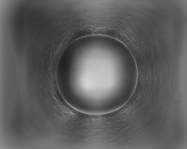X0000074221345200608251118