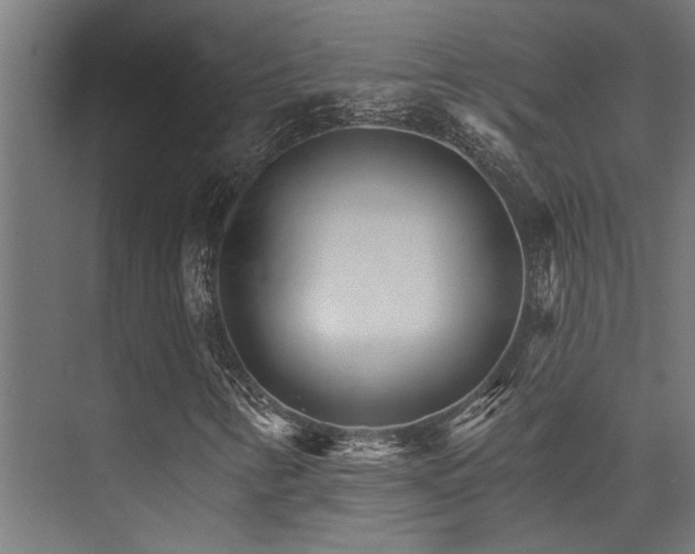 X0000074221346200608251118