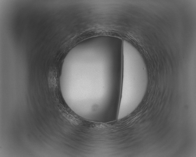 X0000074221348200608251118