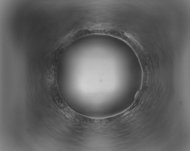 X0000074221350200608251118