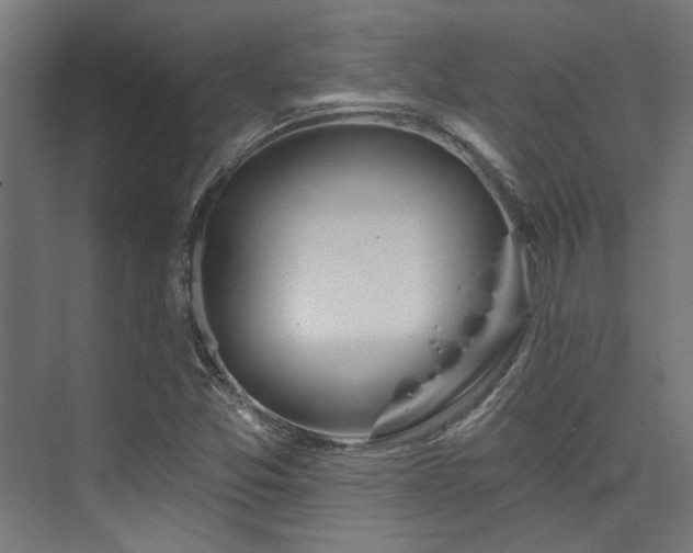 X0000074221357200608251118