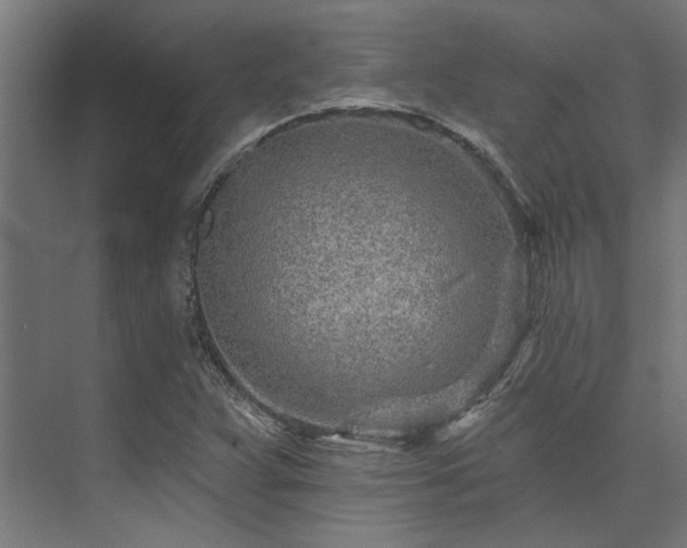 X0000074221359200608251118