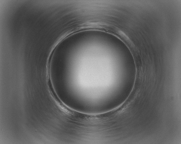 X0000074221370200608251118