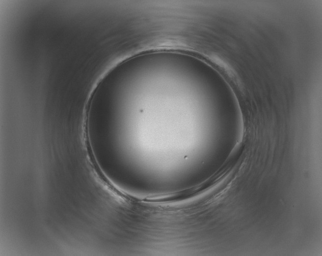 X0000074221374200608251118