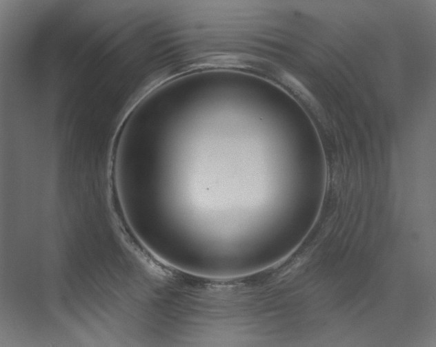 X0000074221378200608251118
