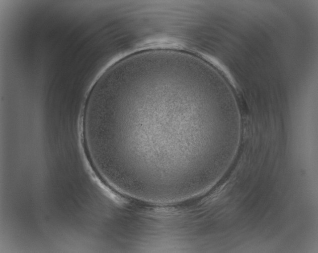 X0000074221383200608251117