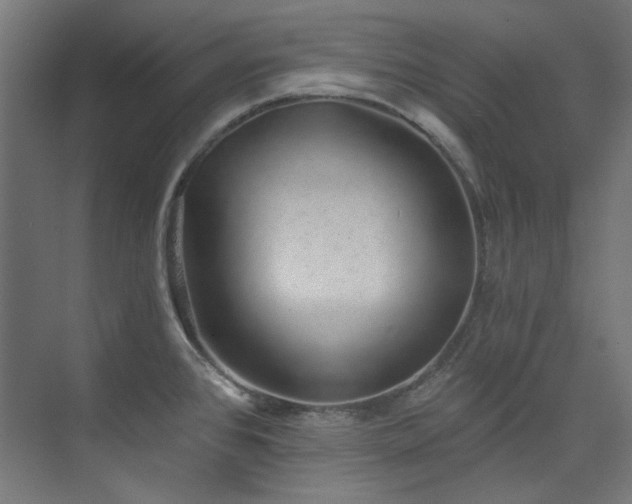 X0000074221384200608251117