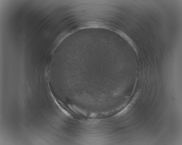 X0000074221385200608251117