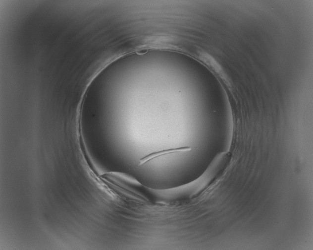 X0000074221386200608251117
