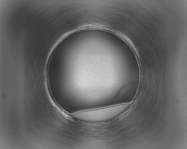X0000074221389200608251117