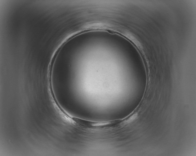X0000074221392200608251117