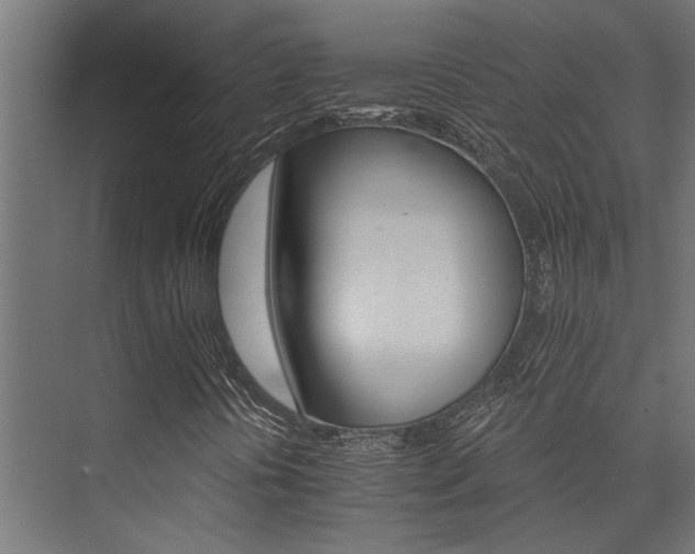 X0000074221394200608251116