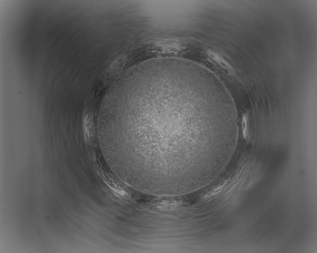 X0000074221395200608251116