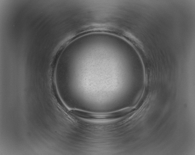 X0000074221411200608251117