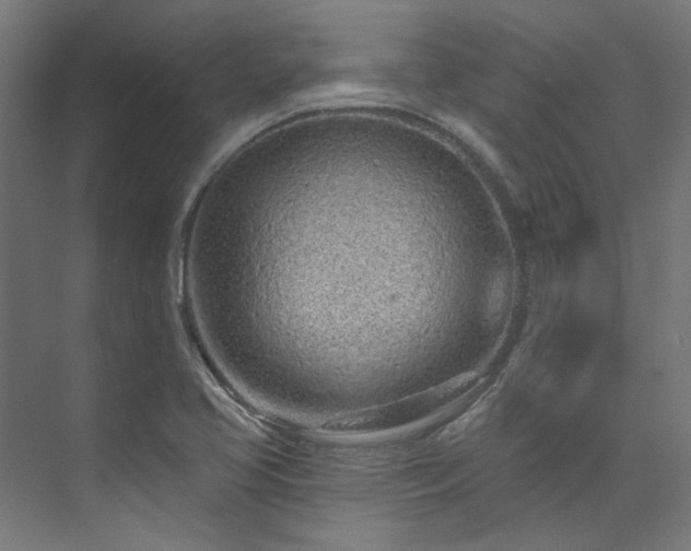X0000074221413200608251117