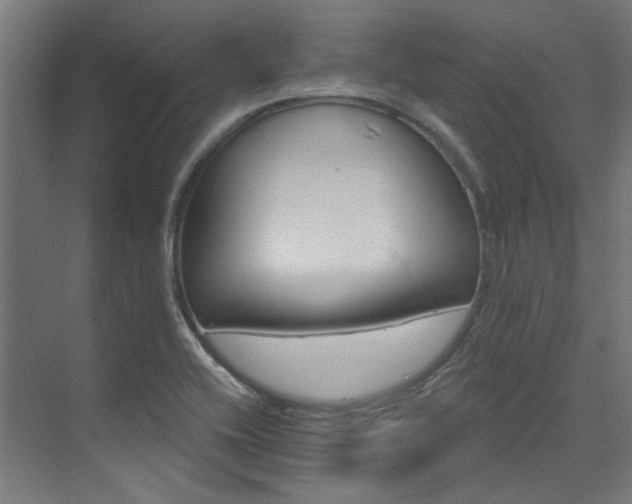 X0000074221416200608251117