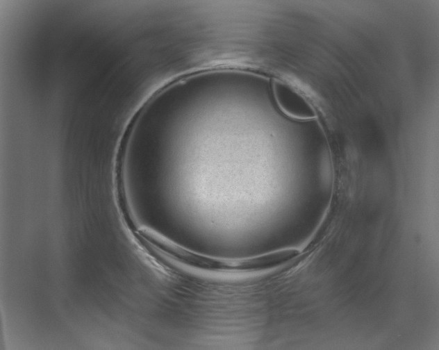 X0000074221423200608251117
