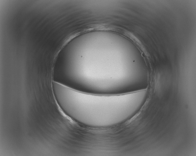 X0000074221433200608251117
