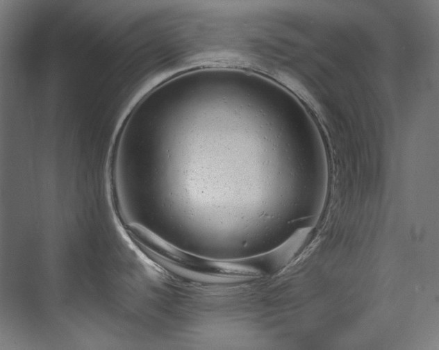 X0000074221440200608251117
