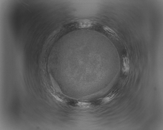 X0000074221441200608251116