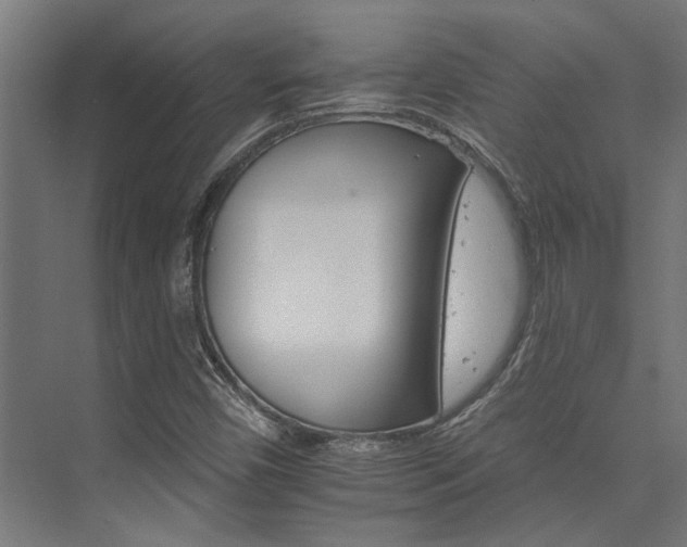 X0000074221450200608251116