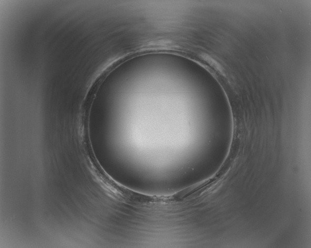 X0000074221458200608251116
